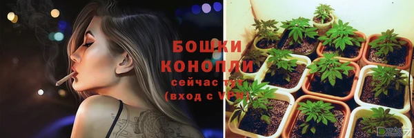 mdpv Богданович