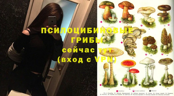 дурь Богородск