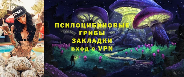 дурь Богородск