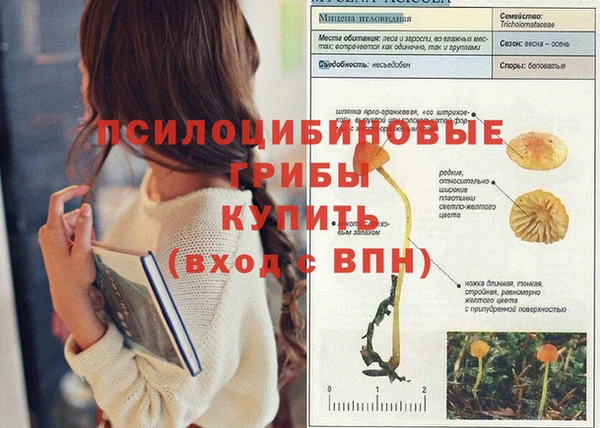 дурь Богородск