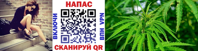 Шишки марихуана марихуана где найти Кимовск